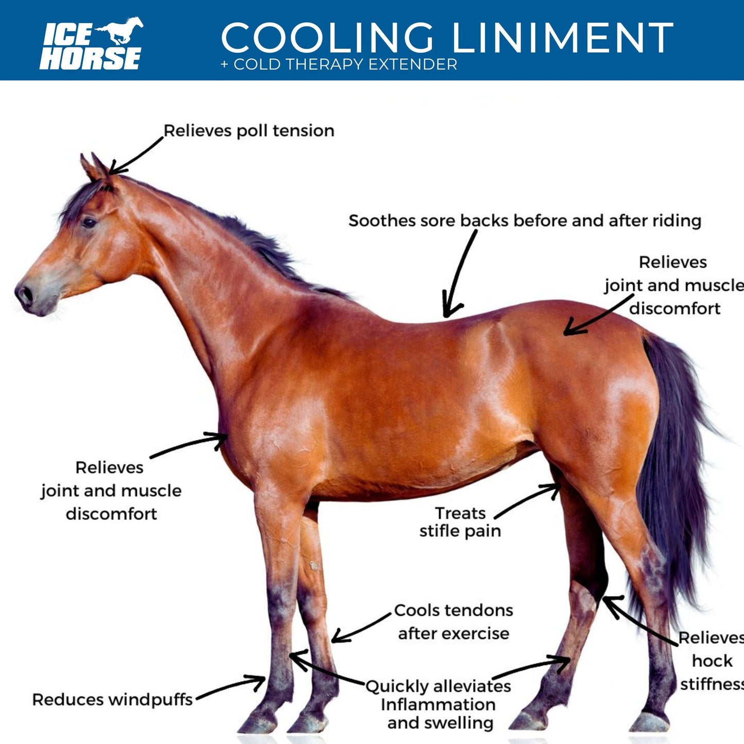 Ice Horse Cooling Liniment and Cold Therapy Extender