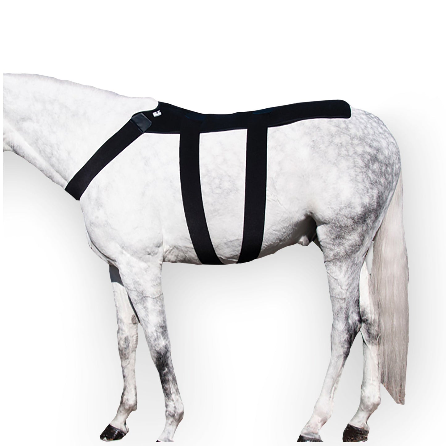Ice Horse Back Blanket