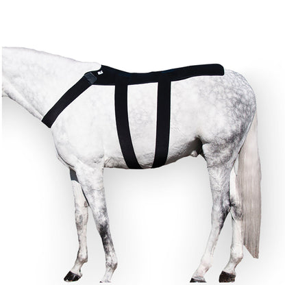Ice Horse Back Blanket