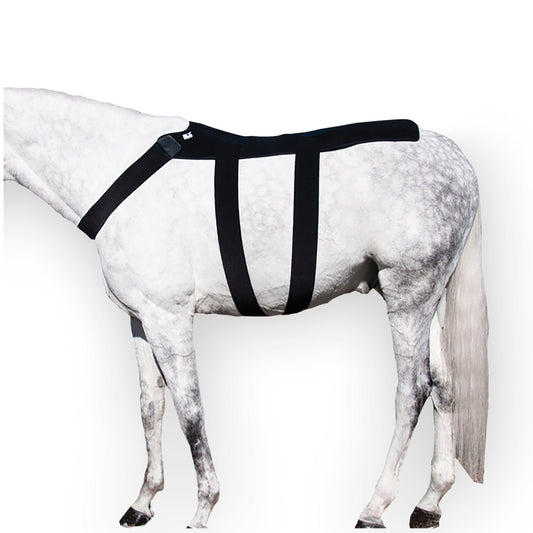 Ice Horse Back Blanket