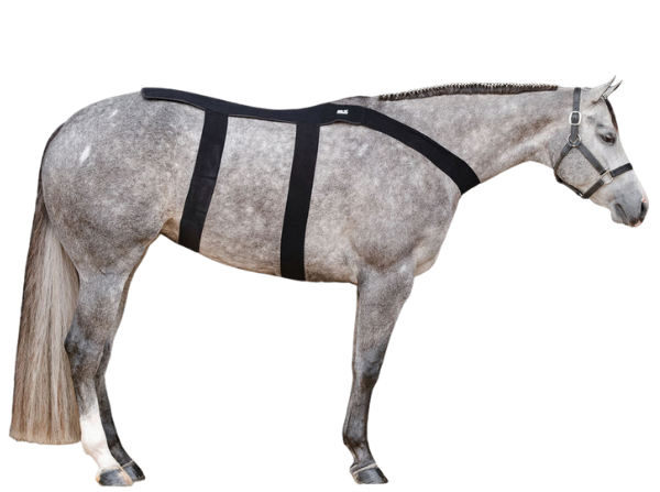Ice Horse Back Blanket