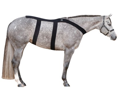 Ice Horse Back Blanket