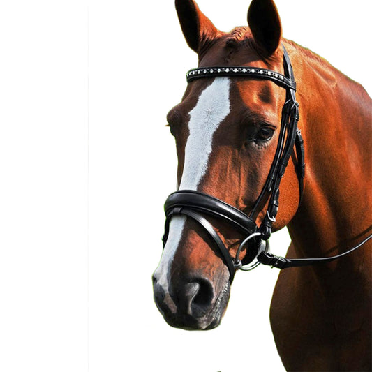 Red Barn by KL Select Cadence Weymouth Dressage Bridle