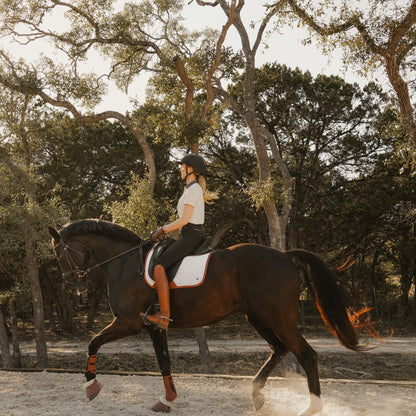 Sixteen Cypress  Dressage Pad, White & Cognac