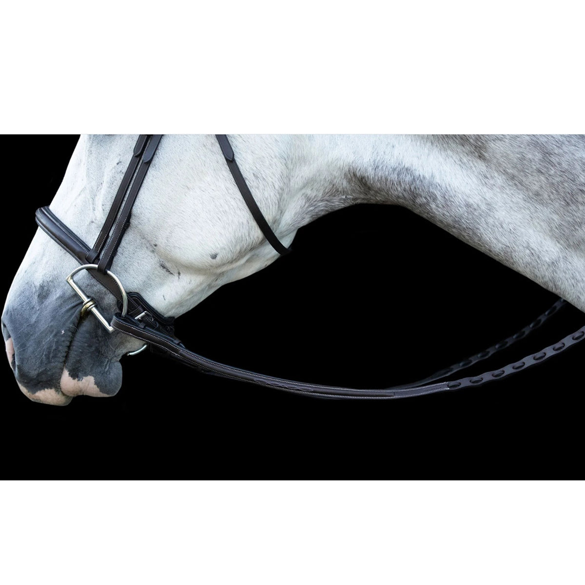 EHI ProSeries Perfect Reins