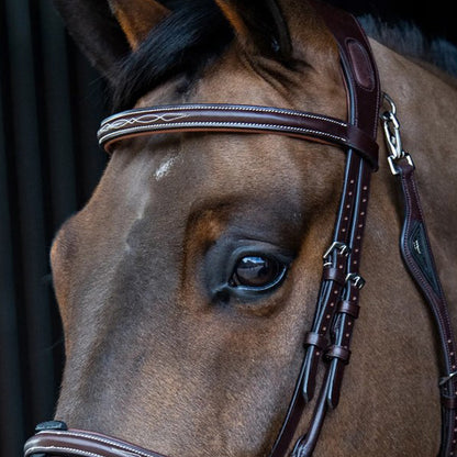 Equiline Fancy Stitched Padded Browband