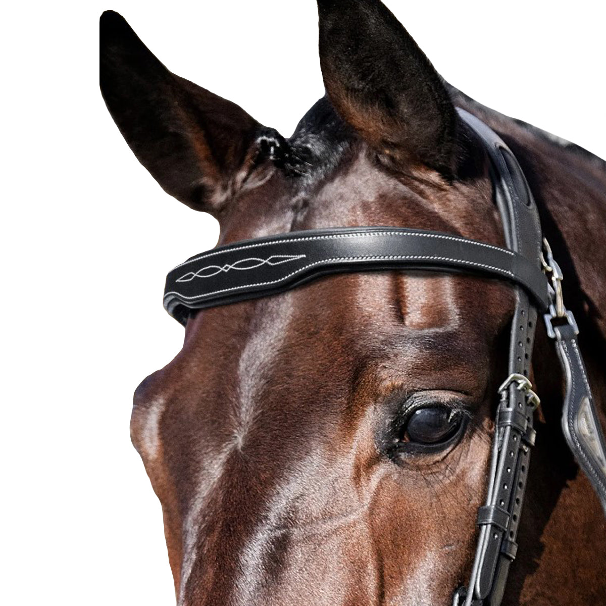 Equiline Fancy Stitched Square Cut Browband