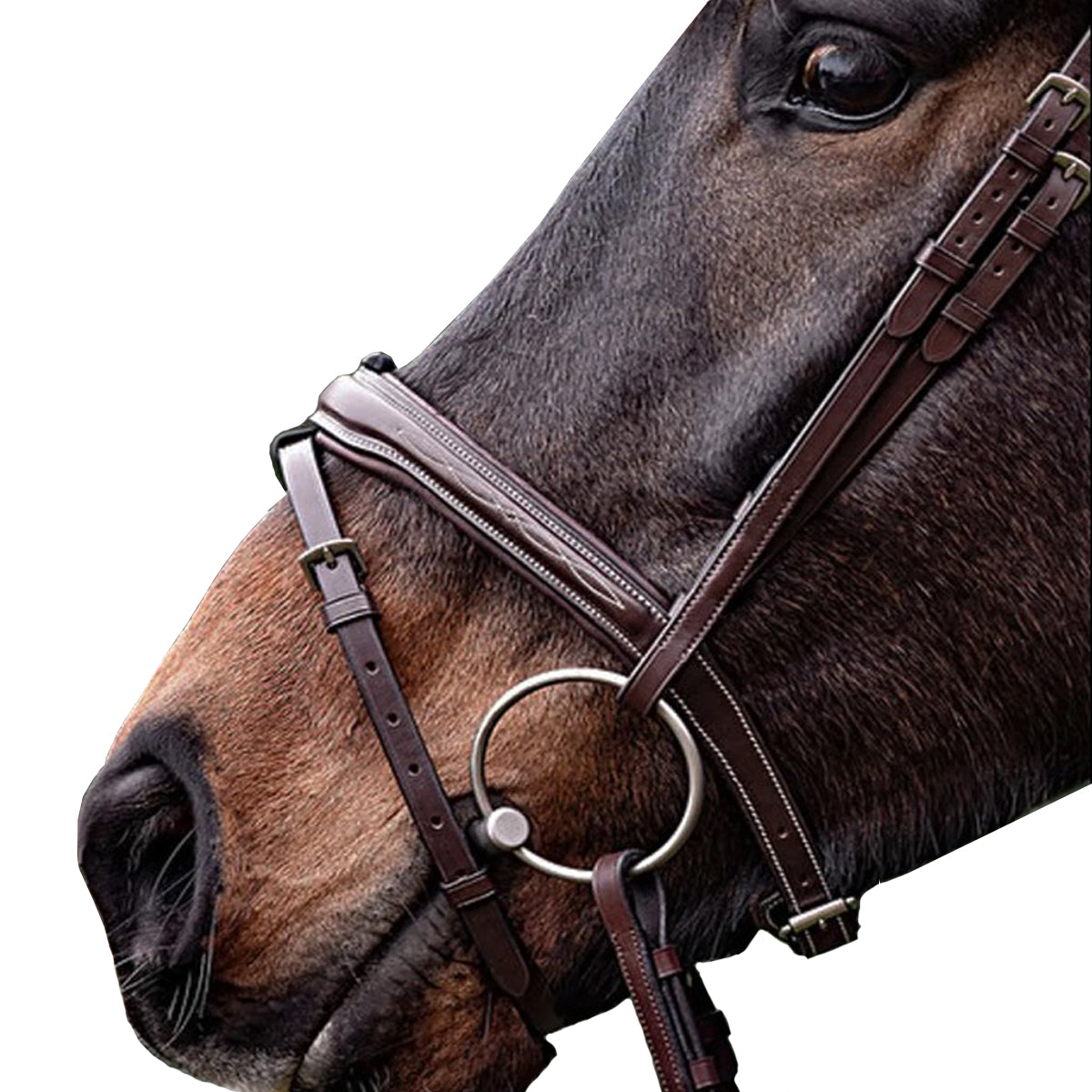 Equiline Fancy Stitched Square Cut Noseband