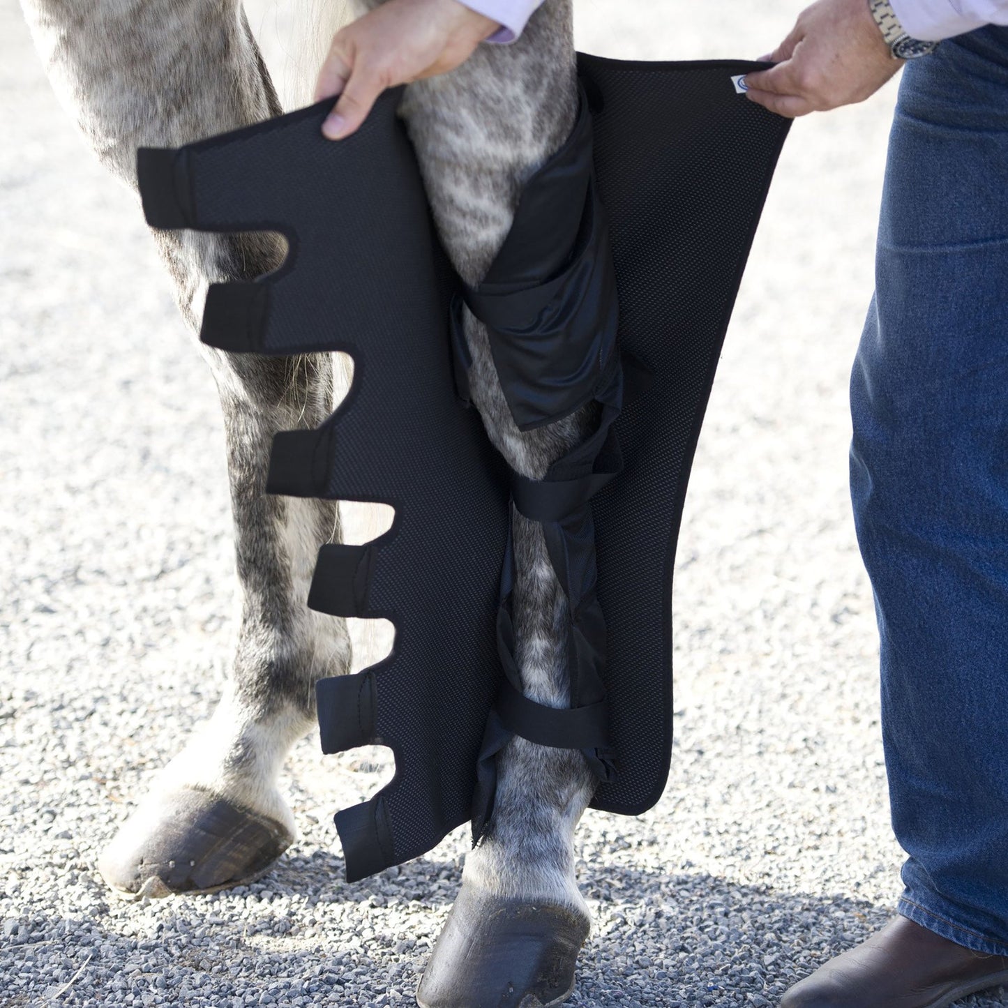 Ice Horse Full Hind Leg Wraps