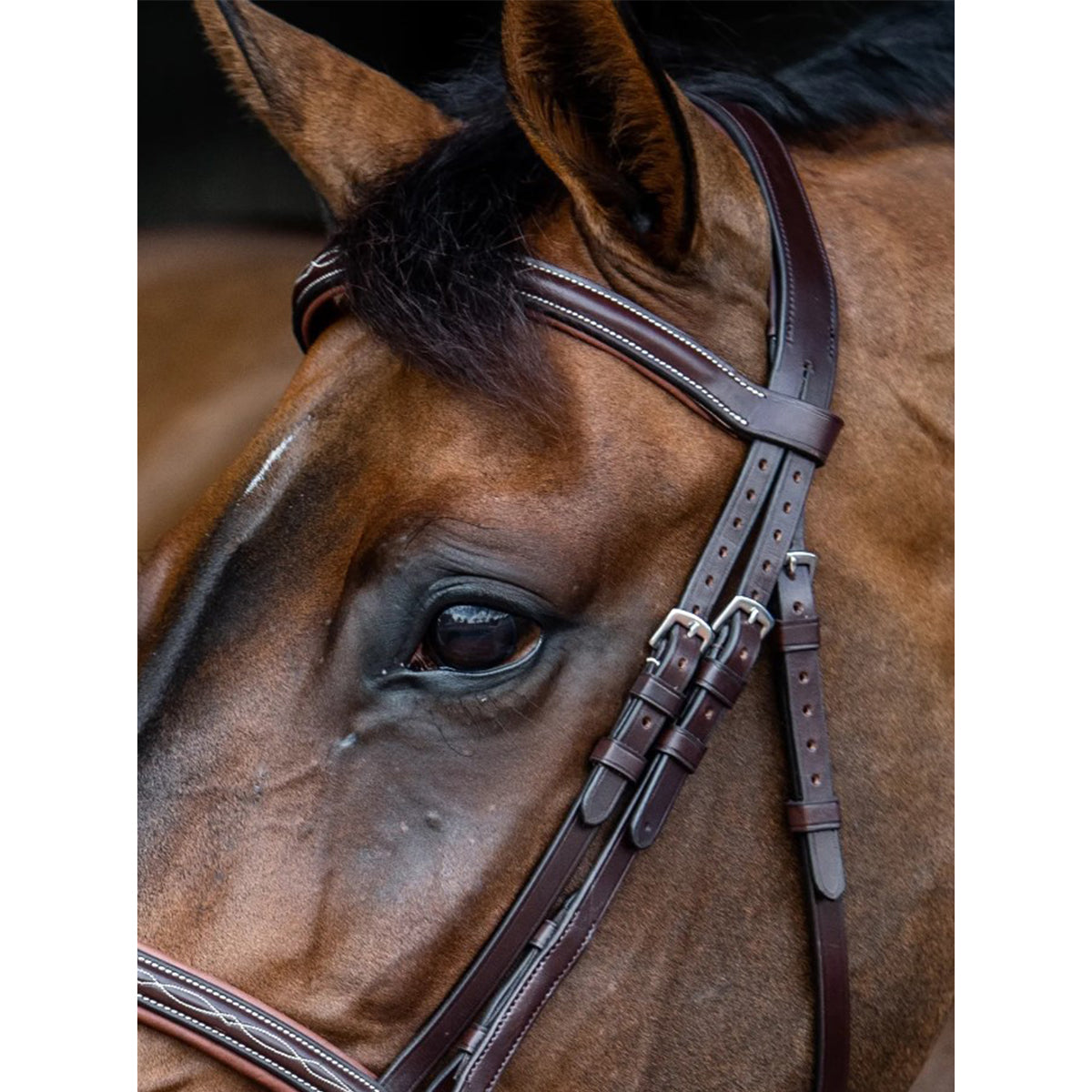 Equiline Classic Headpiece