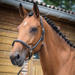 Jump'in Grooming Halter - One Collection