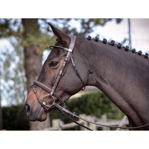 Jump'in Wednesday Bridle - Week Collection