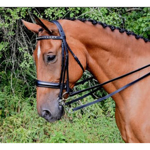 Red Barn by KL Select Cadence Weymouth Dressage Bridle