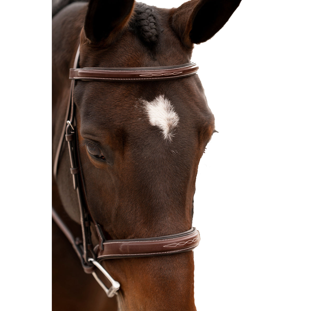 Red Barn by KL Select Tryon Hunter Bridle