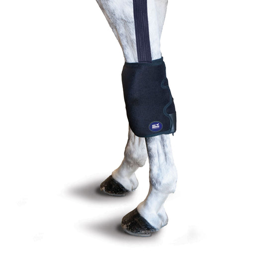 Ice Horse Knee Wraps- With Anti-Migration Suspender
