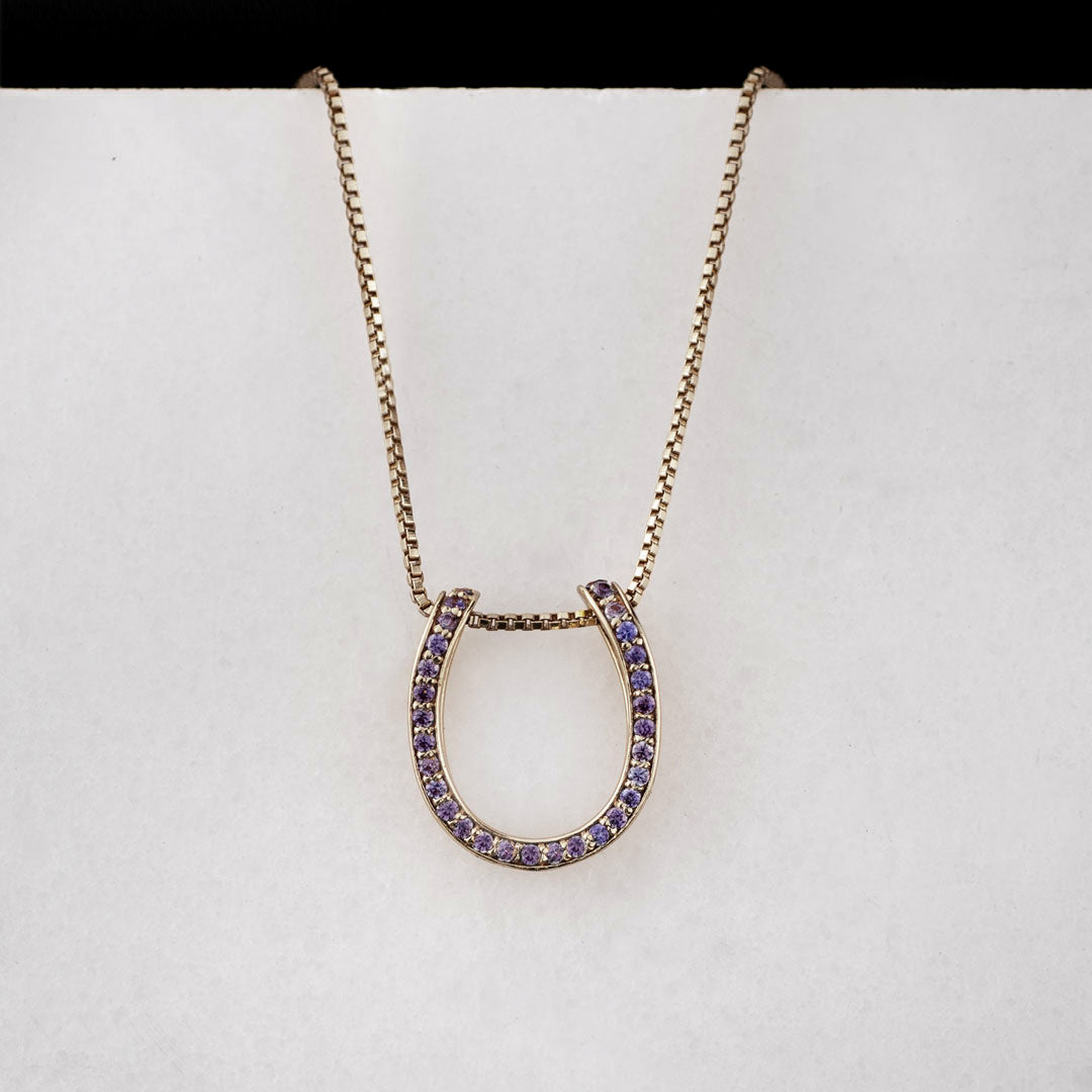Levade -Violet Moissanite Horseshoe Equestrian Necklace in Silver