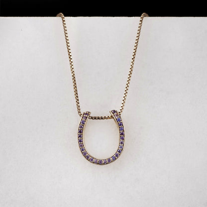 Levade -Violet Moissanite Horseshoe Equestrian Necklace in Silver