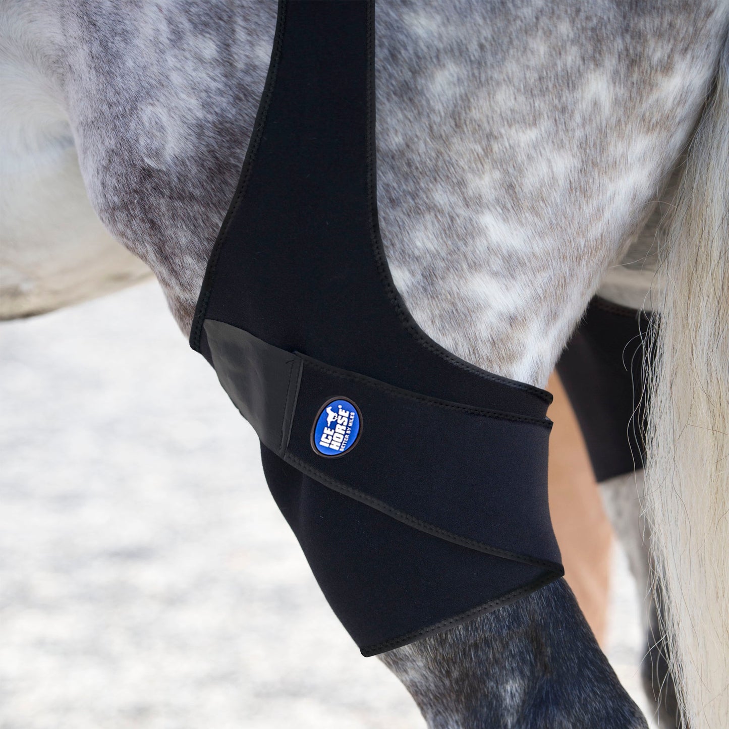 Ice Horse Stifle Wraps