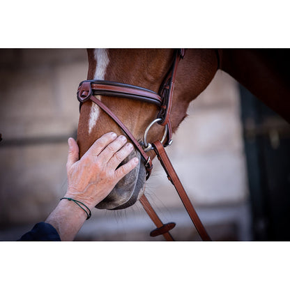 Penelope US Bridle -Sale