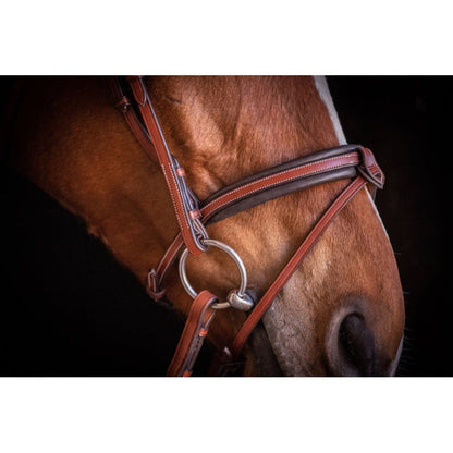 Penelope US Bridle -Sale
