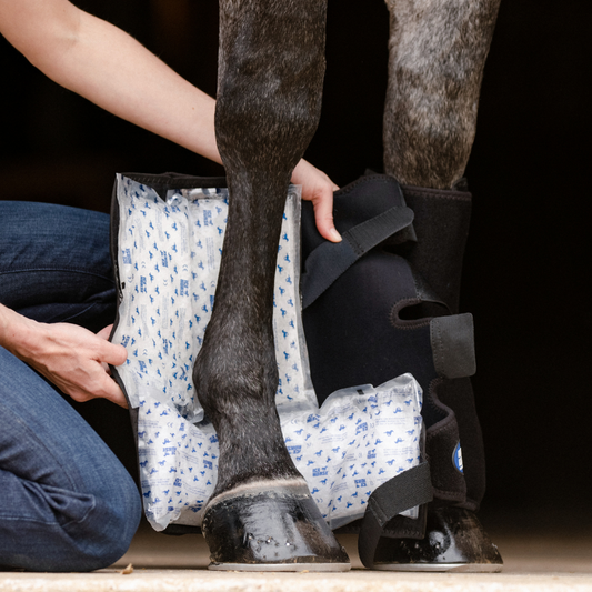 Ice Horse Suspensory/Full Tendon Wrap