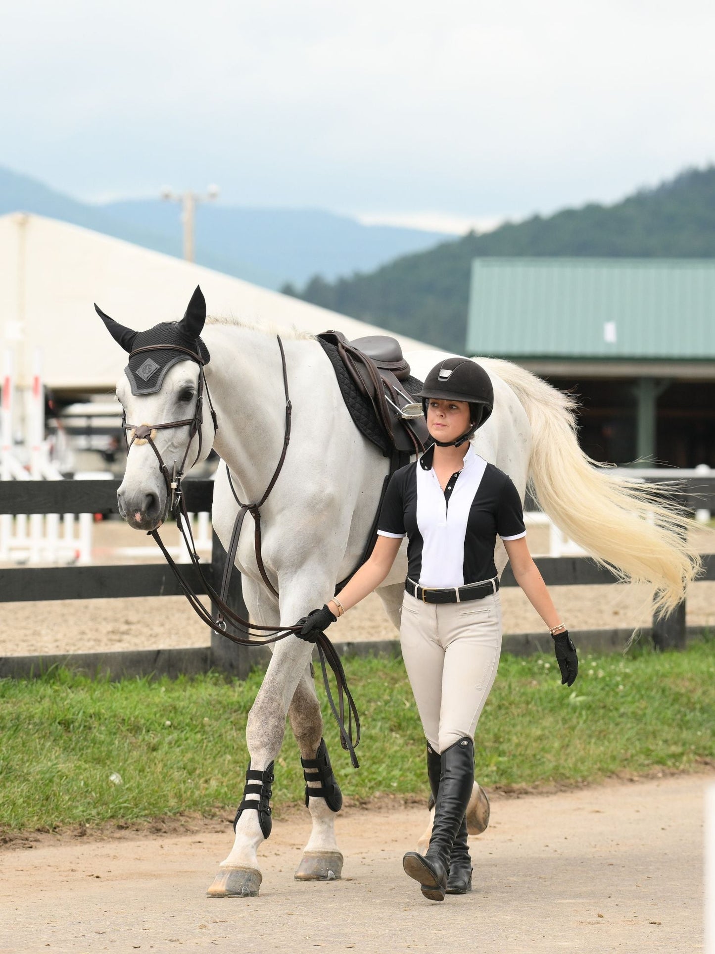 Essex Classics  Ladies "Luna II" Black Self-Trim Short Sleeve Performance Show Shirt