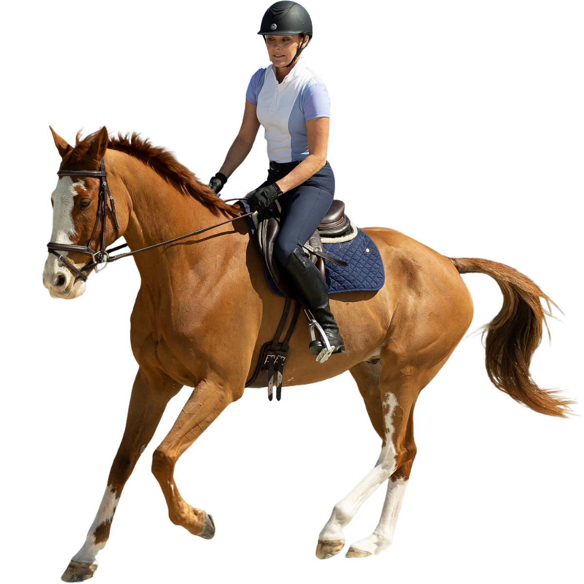 Equinavia Women's Martha Show Shirt