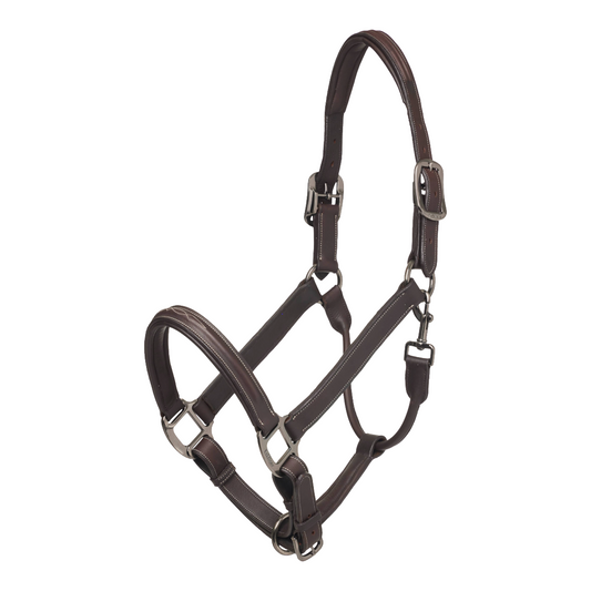 LeMieux Stitched Hunter Headcollar