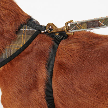 Barbour Tartan Dog Harness
