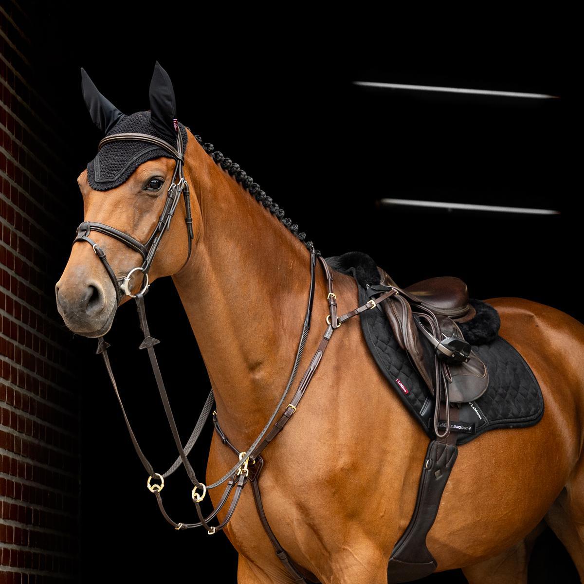 LeMieux Crystal Fly Hood