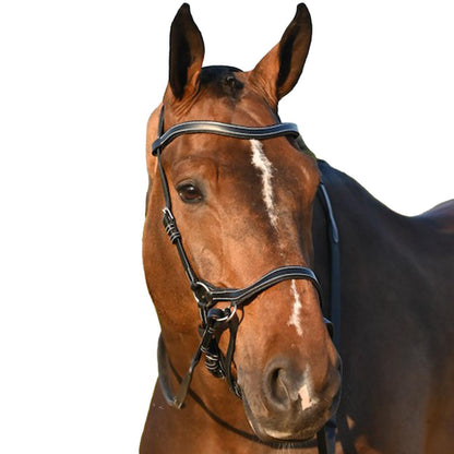 Jump'in Bitless Bridle - One Collection