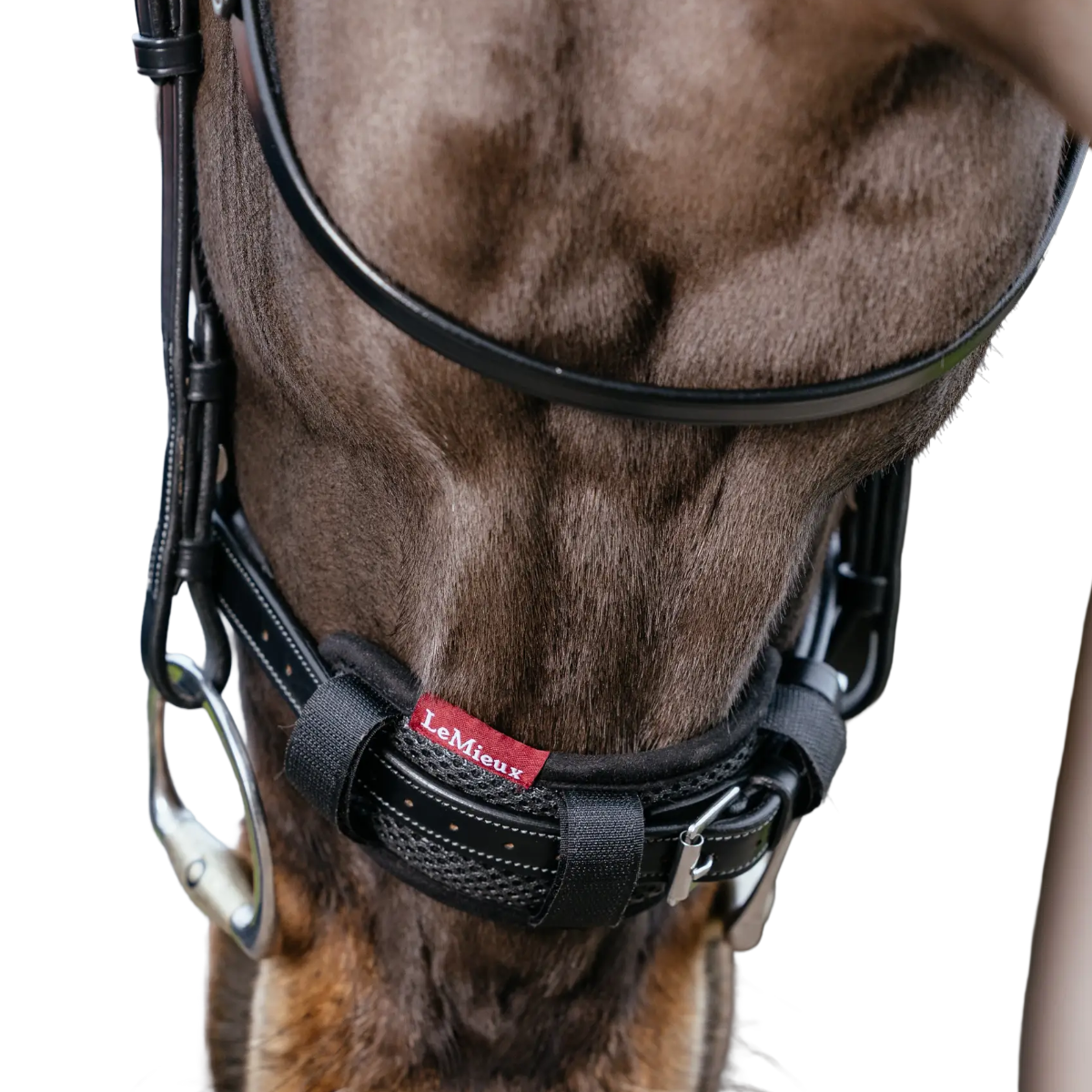 LeMieux Noseband Pad