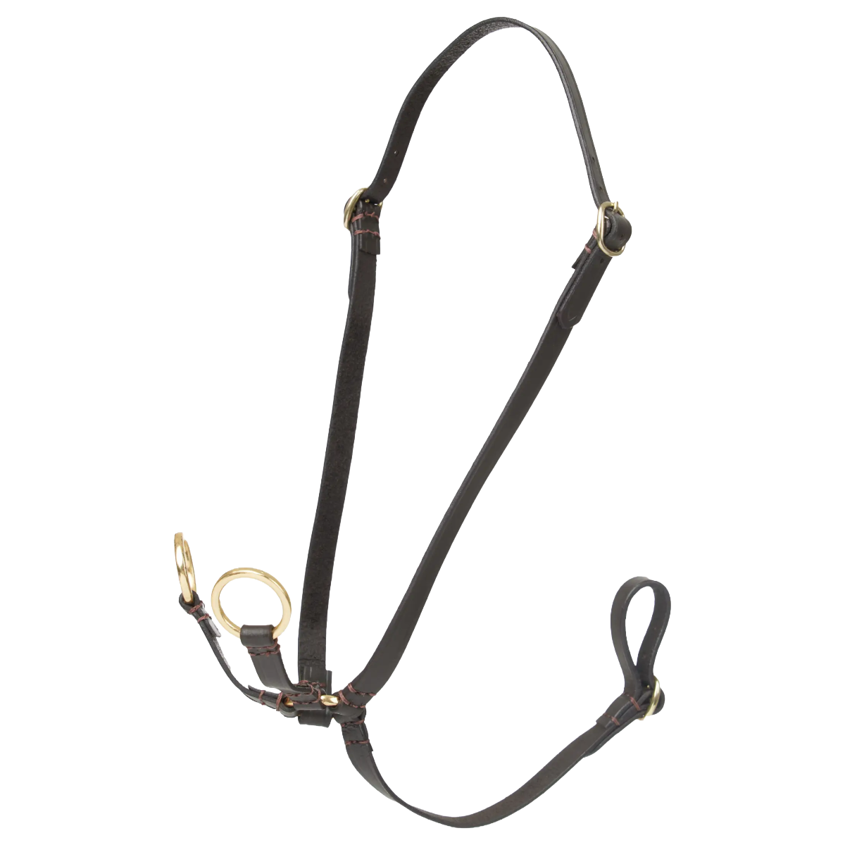 LeMieux Hobby Horse Running Martingale