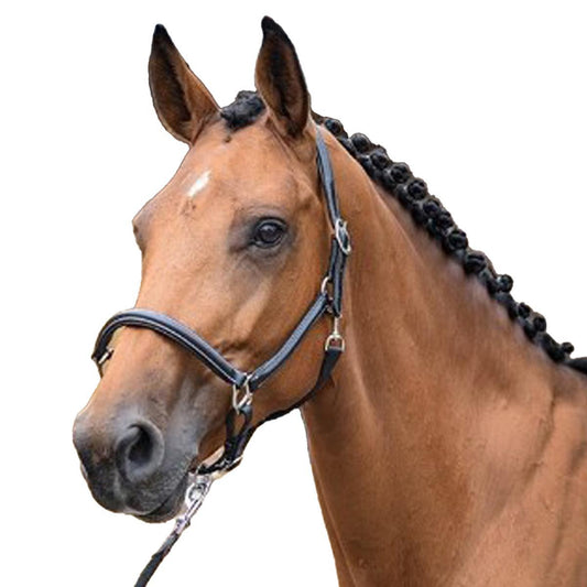 Jump'in Grooming Halter - One Collection
