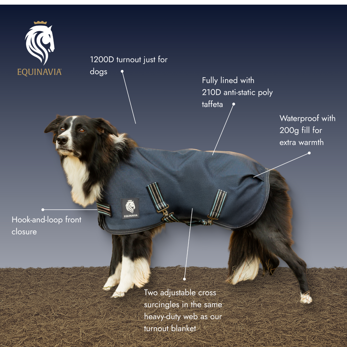 Equinavia Arktis Dog Turnout Blanket 200g
