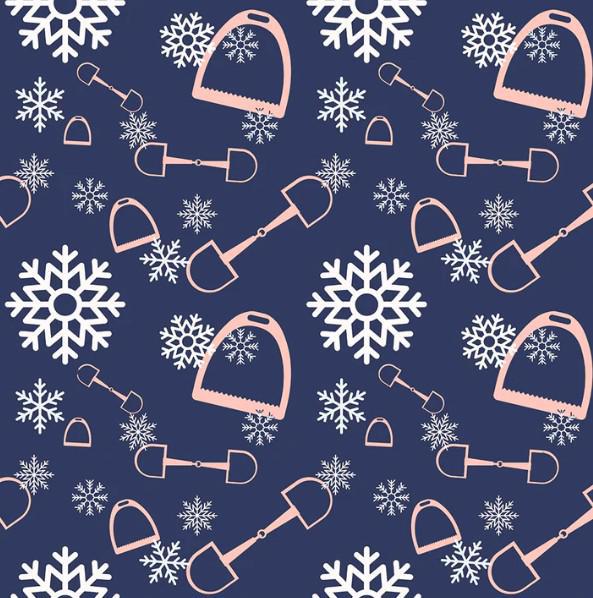 AP Hassinger Snazzy Ladies Socks