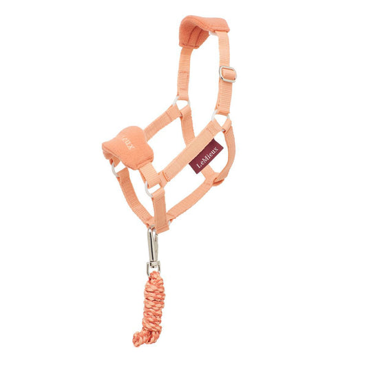 LeMieux Hobby Horse Headcollar