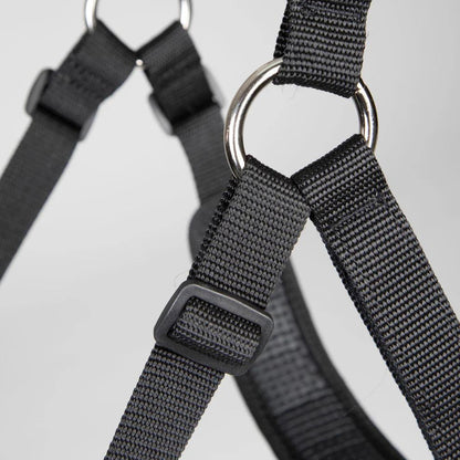 FreeGraze Comfort Grazing Muzzle