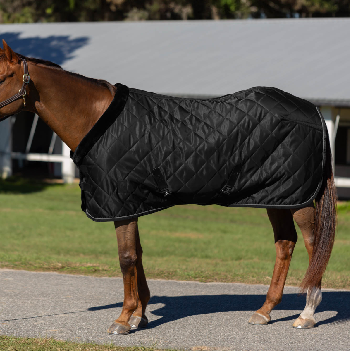Equinavia Luksus Premium Stable Blanket horse model side view in black