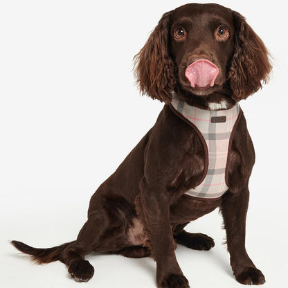 Barbour Tartan Dog Harness