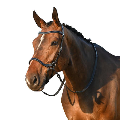 Jump'in Bitless Bridle - One Collection