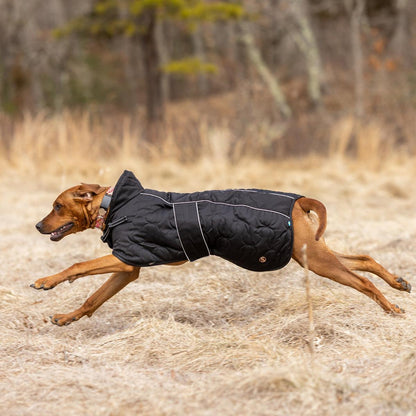 Back on Track Deep Nights Dog Coat