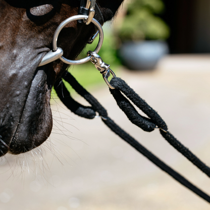 LeMieux Rope Lunging Aid