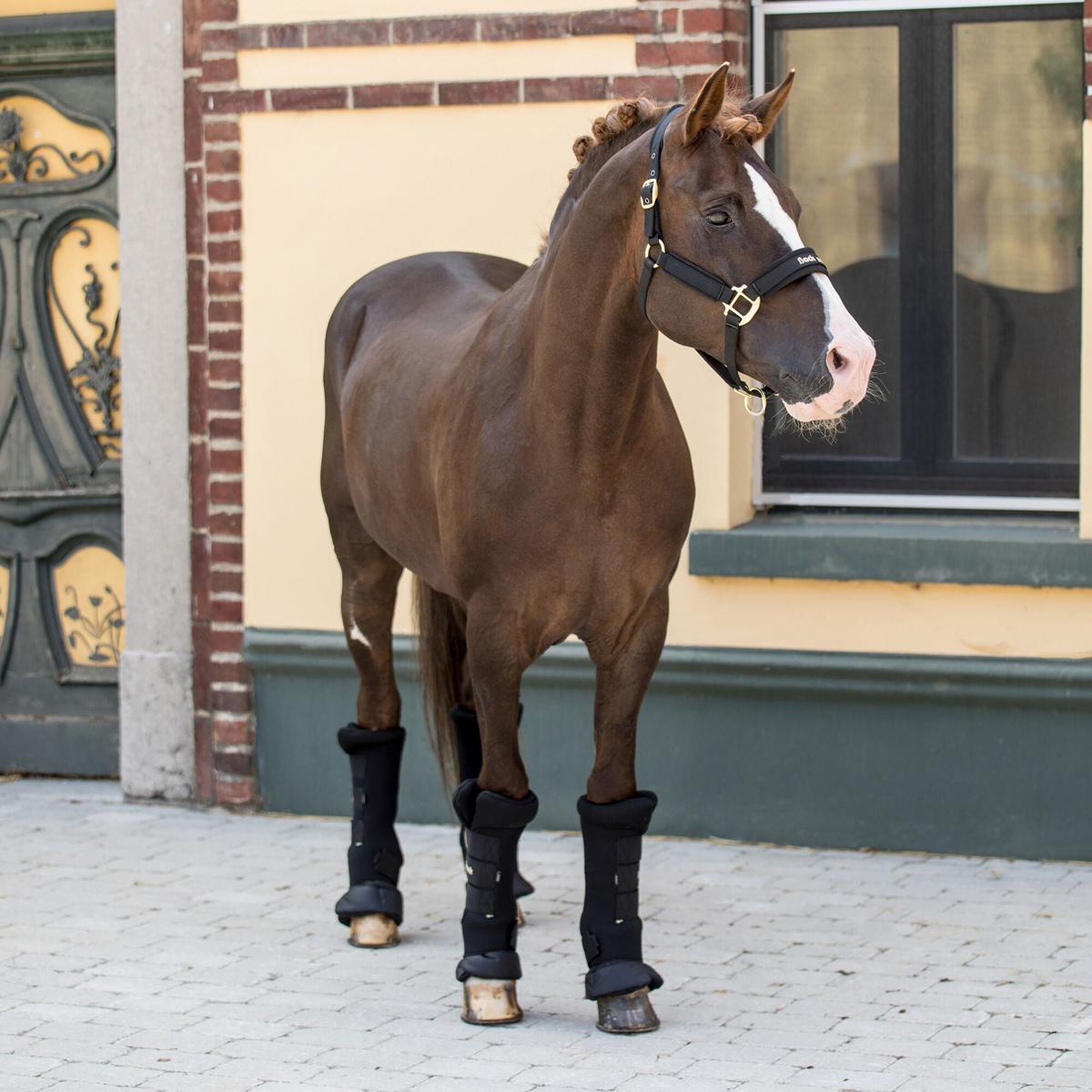 Back on Track Royal Quick Wraps Deluxe