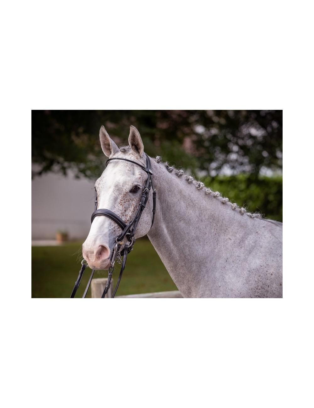 Jump'in Patent Double Bridle - Week Collection