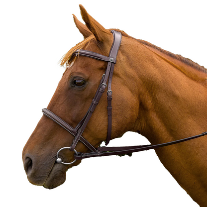 HDR Pro Mono Crown Padded Fancy Bridle