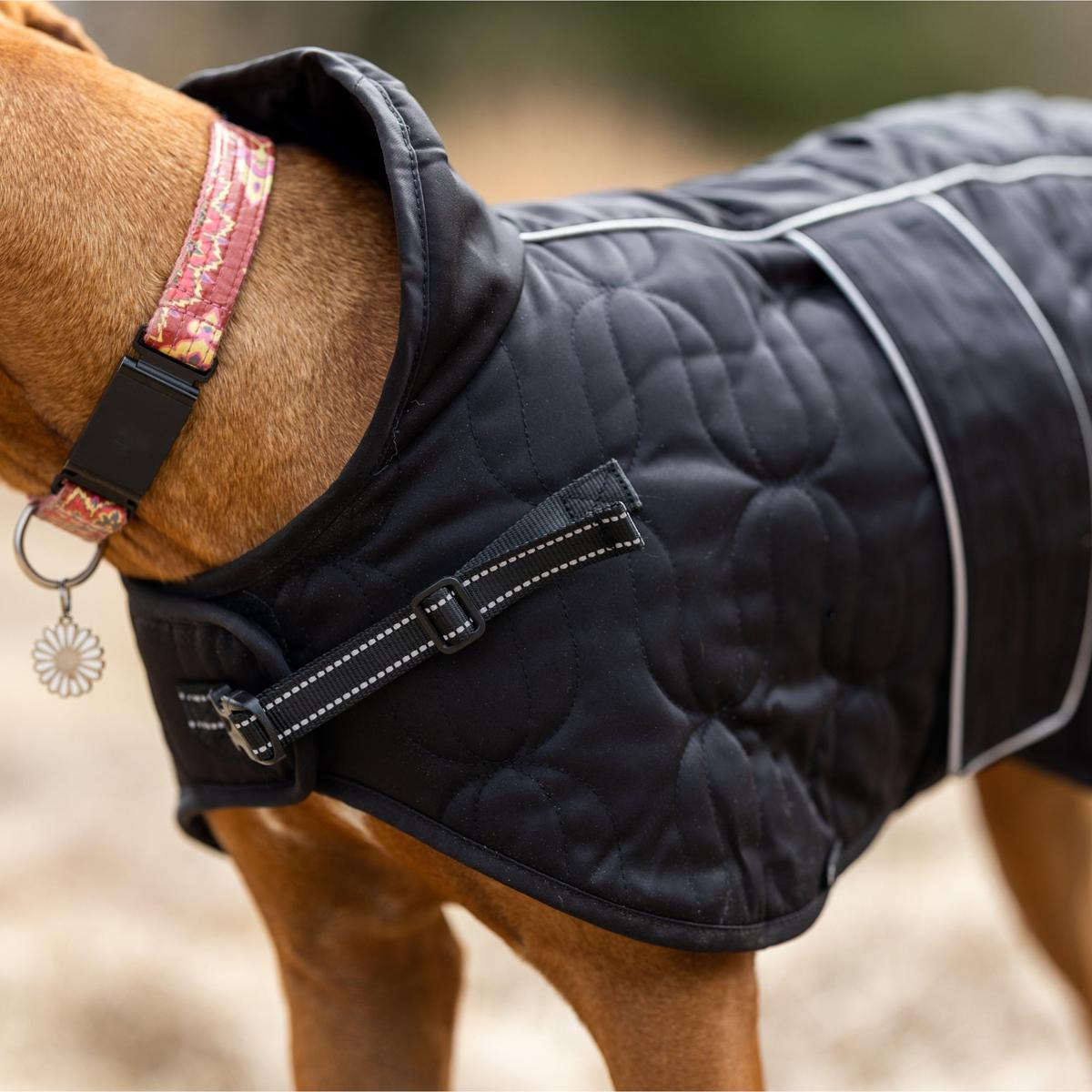 Back on Track Deep Nights Dog Coat