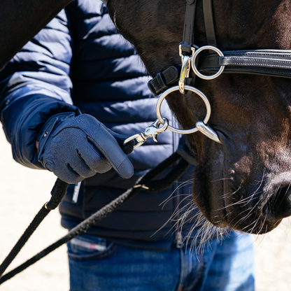 LeMieux Rope Lunging Aid