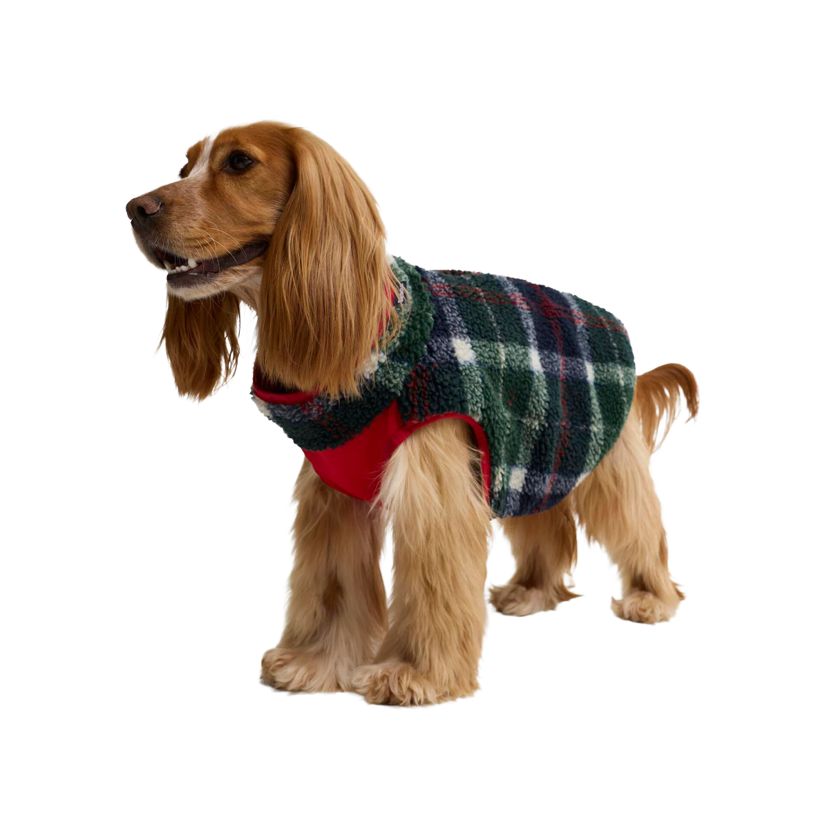 Barbour Field Reversible Dog Coat