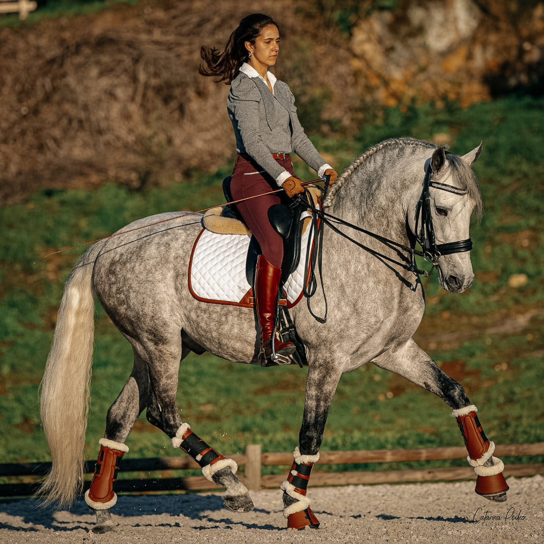 Sixteen Cypress  Dressage Pad, White & Cognac